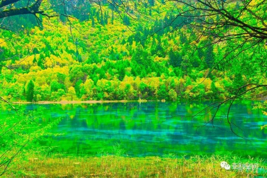 我的老师是偶像